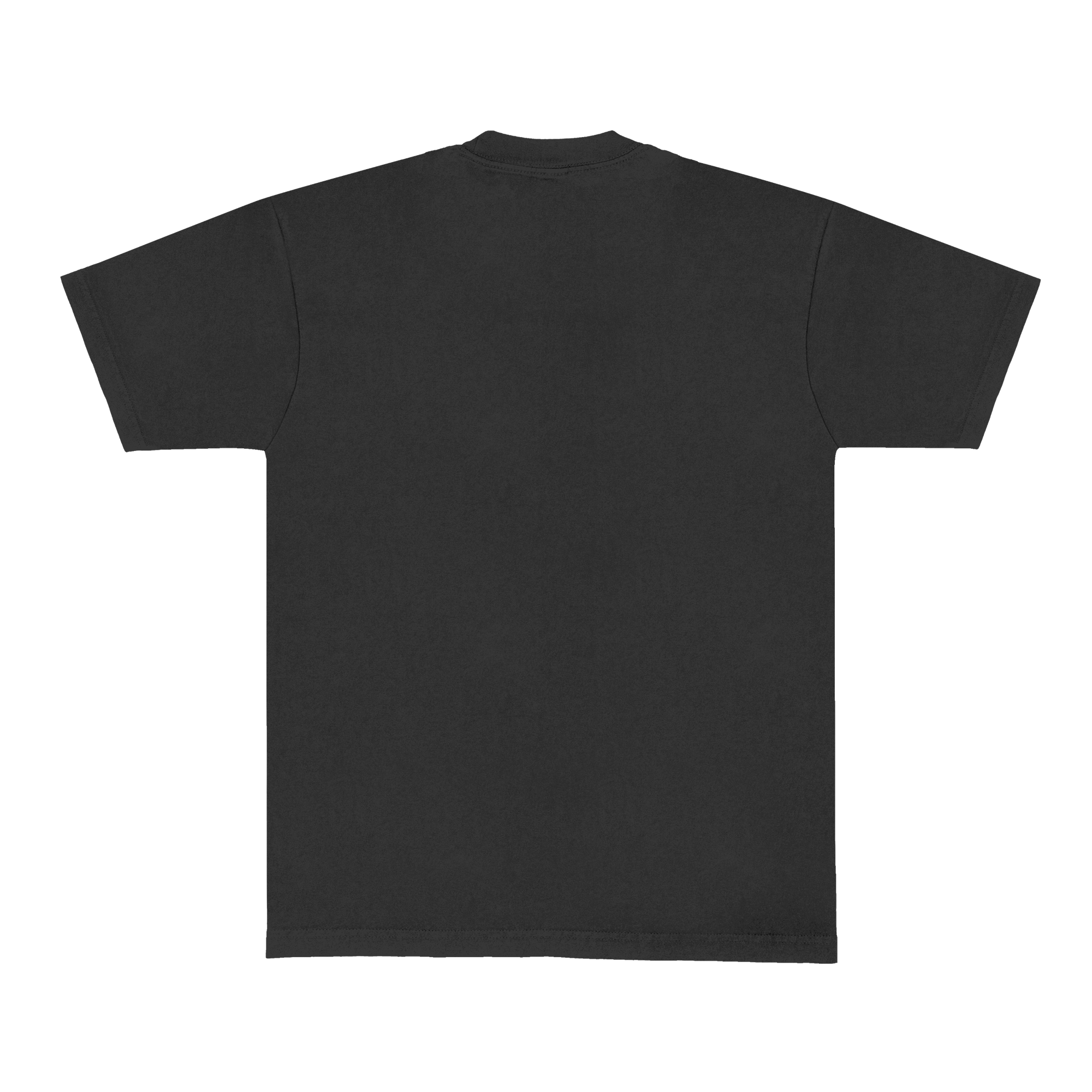 Harry Styles KISS ALL THE TIME. DISCO, OCCASIONALLY. – Back view of a black short-sleeve unisex t-shirt. No print across the back.